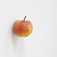 http://carolinanitsch.com/files/gimgs/th-312_Sander-Apple-crop-lr.jpg