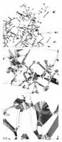 http://carolinanitsch.com/files/gimgs/th-43_43_shotz-alyson-3-steps-closer-all-3-drawings.jpg