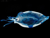 https://carolinanitsch.com/files/gimgs/th-291_ROC-0023-Untitled-Squid-Larvae-2_v2.jpg
